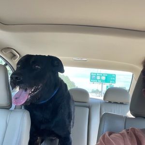 Meet your Posher, Keinesha